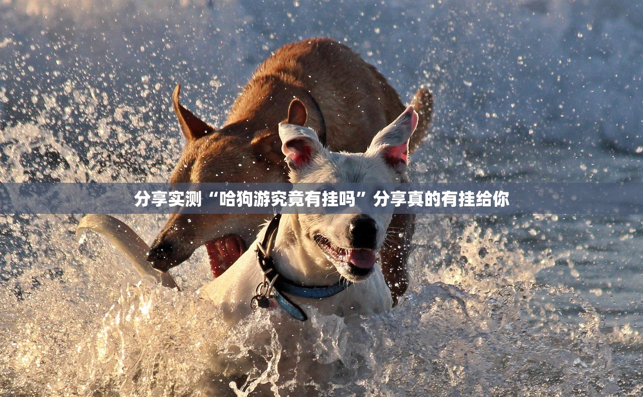分享实测先锋跑得快挂辅助工具分享真的有挂给你
