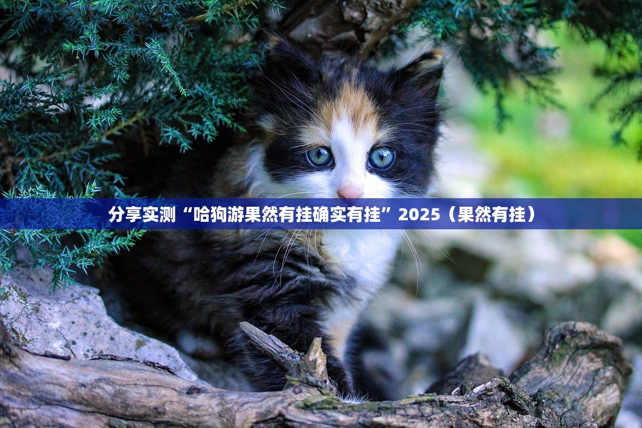 重磅.来袭锋火互娱有没有挂确实果然有挂原来可以开挂