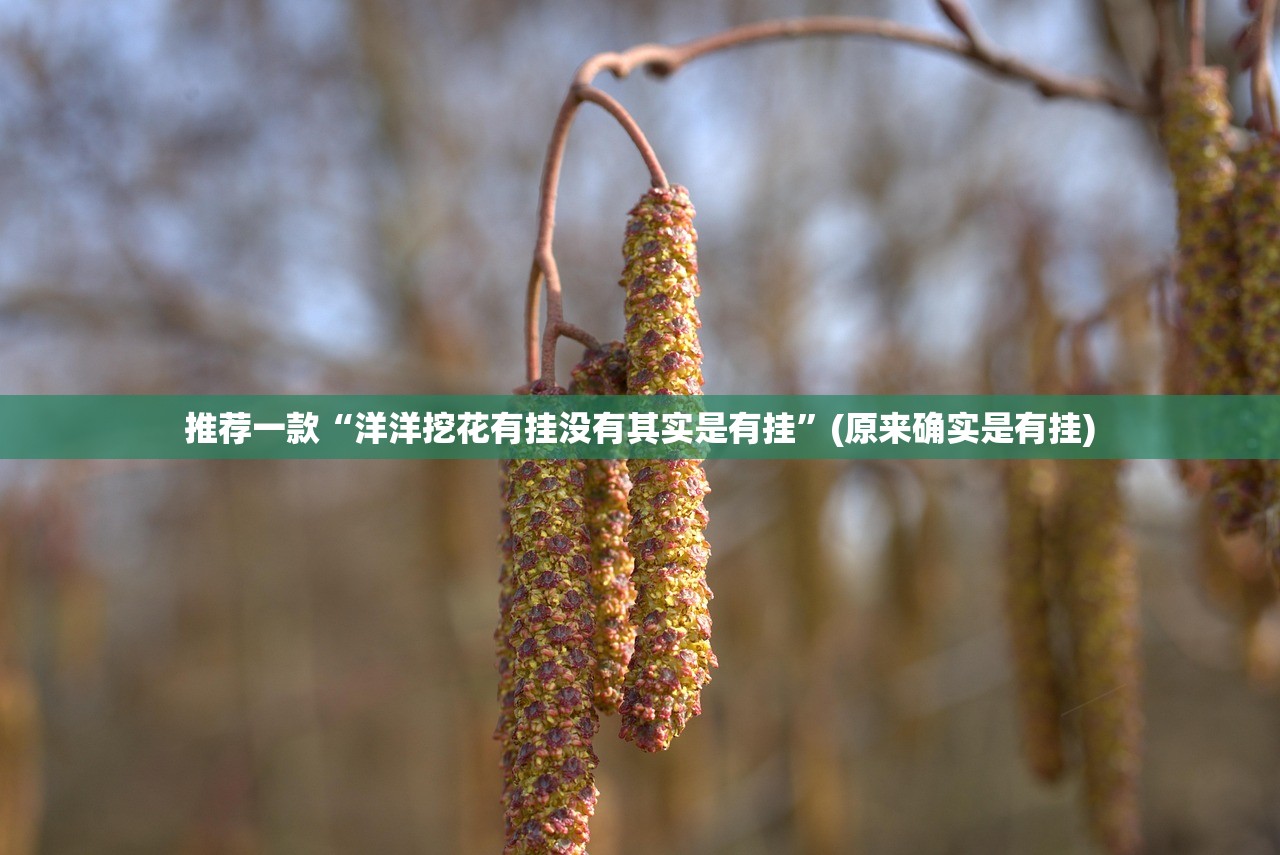 分享实测金凌八居究竟是不是有挂√其实是有挂