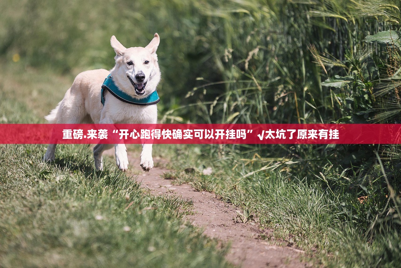 重磅.来袭“阿拉斗牌的确是可以开挂!确实有挂”√其实是有挂 重磅.来袭“阿拉斗牌的确是可以开挂!确实有挂”√其实是有挂