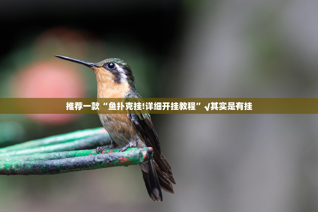 今日重大通报微乐四川麻将真的确实有挂@太坑了真的有挂