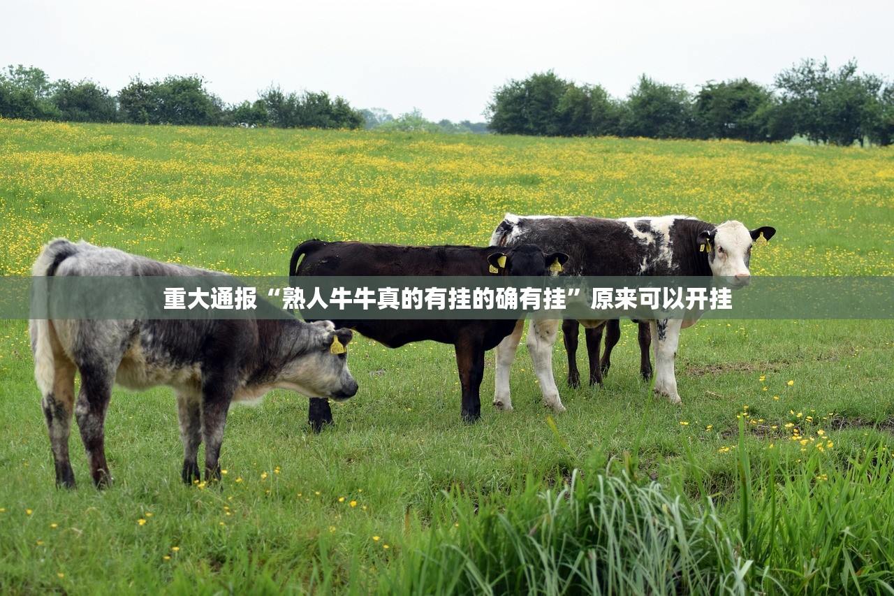 分享实测九天揽月万能开挂神器实测确实有挂