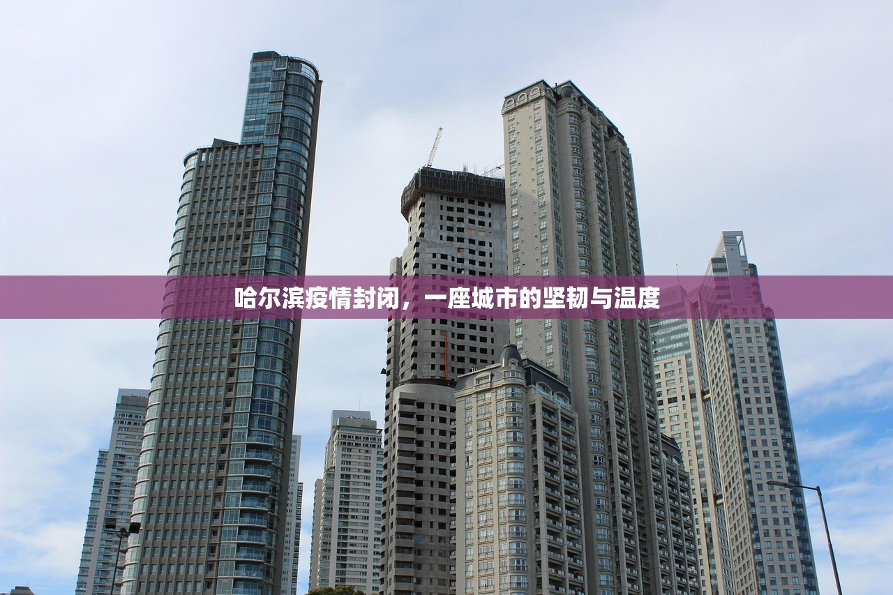 重磅.来袭天天微友万能开挂神器(确实有挂)