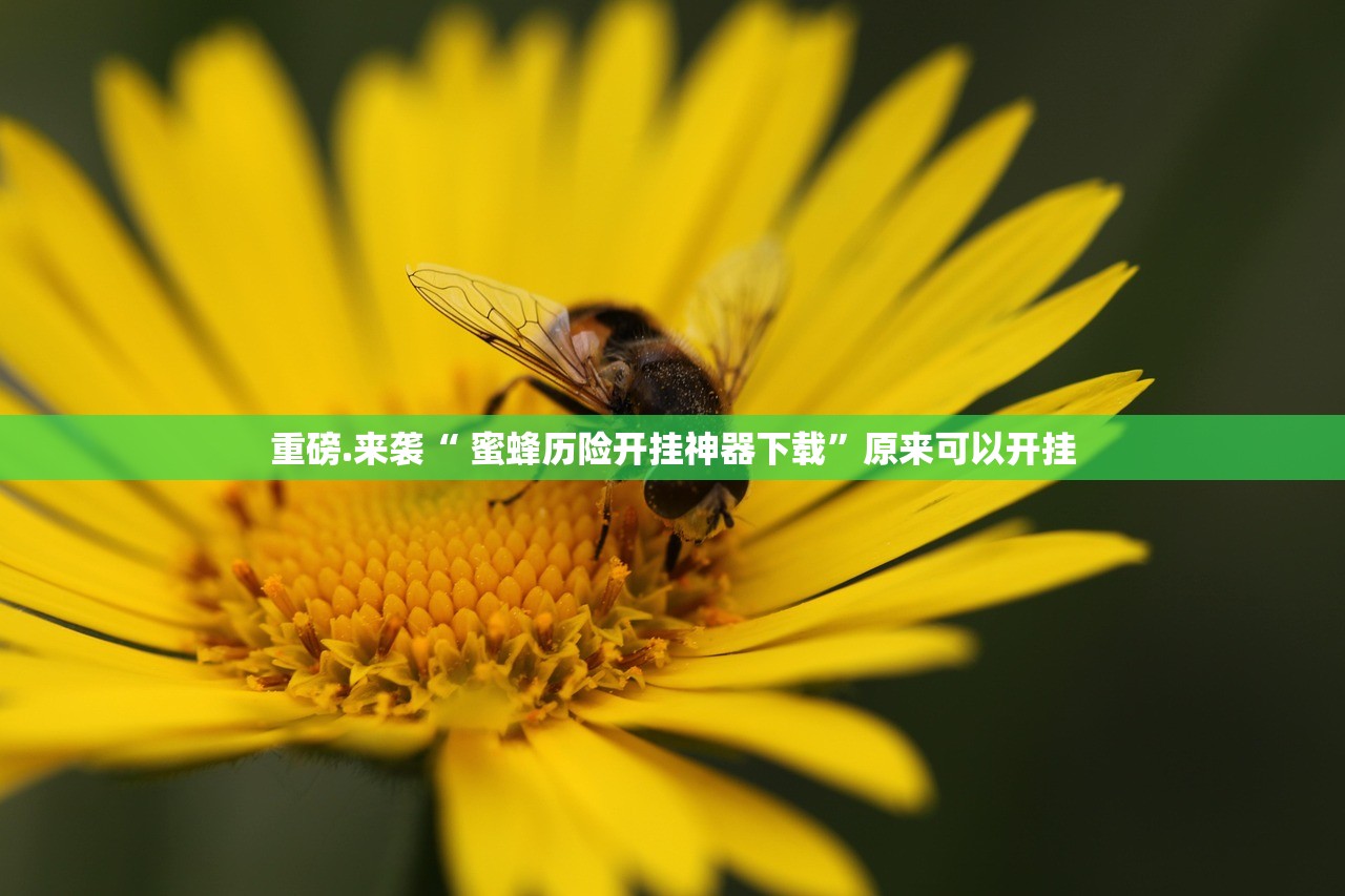 分享实测毛豆互娱到底有没有挂确实有挂√曝光透视猫腻