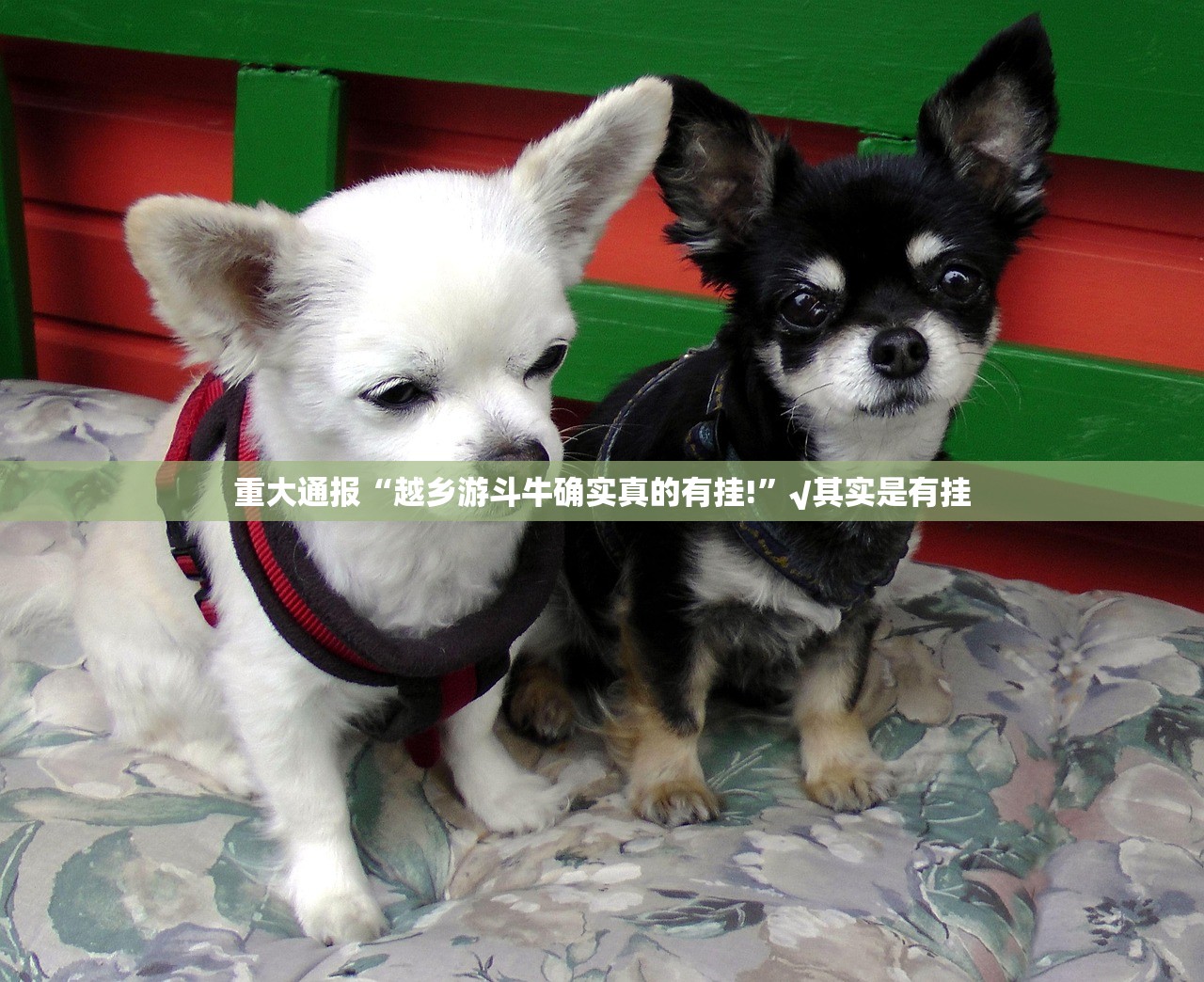 推荐一款欢乐茶坊怎么开挂可以开挂吗确实真的有挂