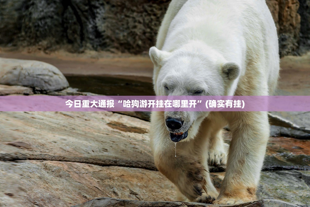 推荐一款福建天天开心十三水怎么装挂确实真的有挂 推荐一款福建天天开心十三水怎么装挂确实真的有挂