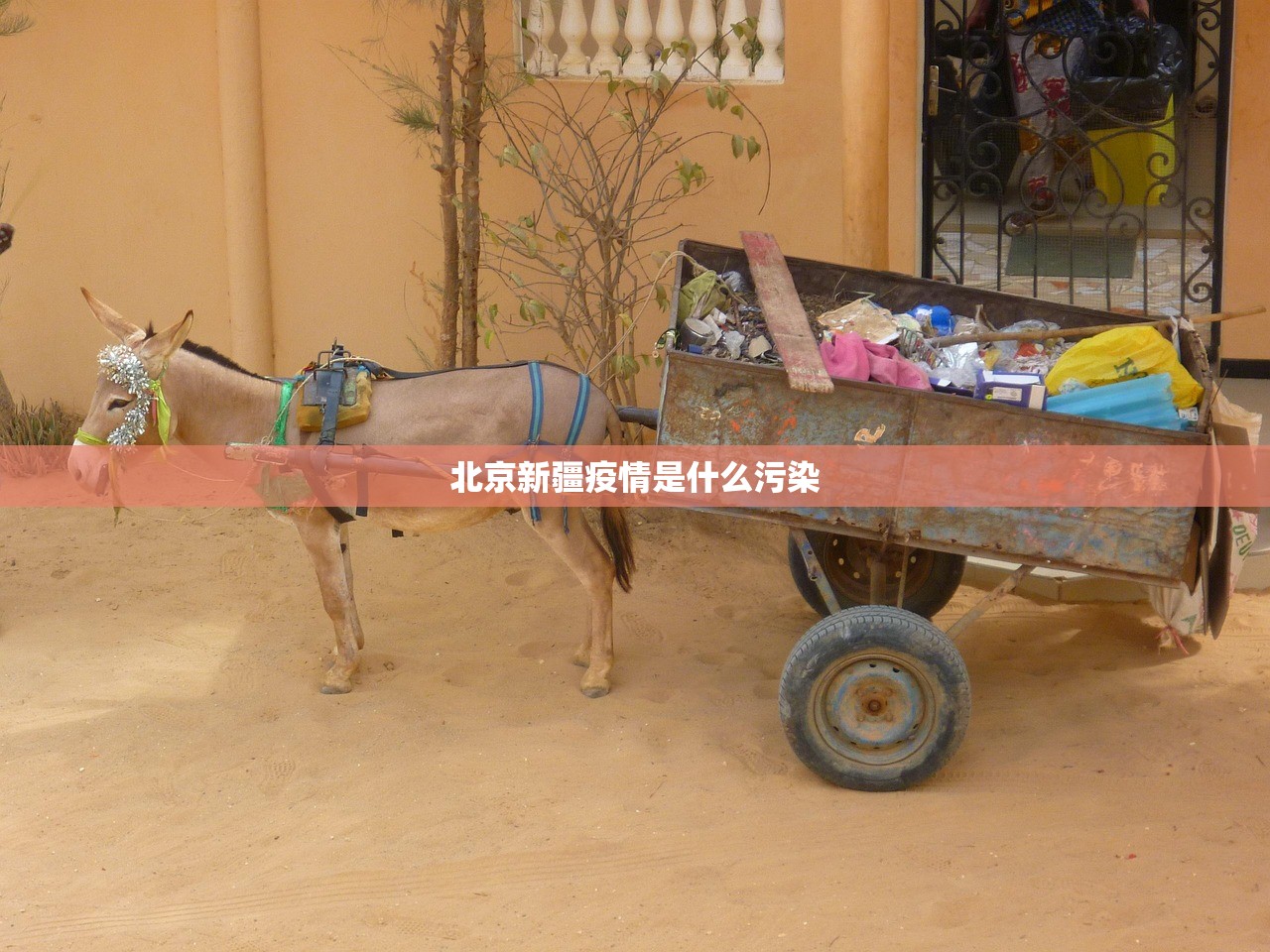 重大通报“鄂州晃晃到底可以开挂吗!开挂教程步骤”(真的有挂)-知乎