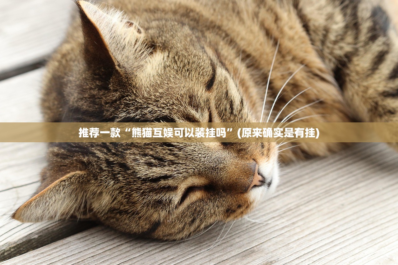 重大通报对战互娱有挂吗确实有挂√曝光透视猫腻