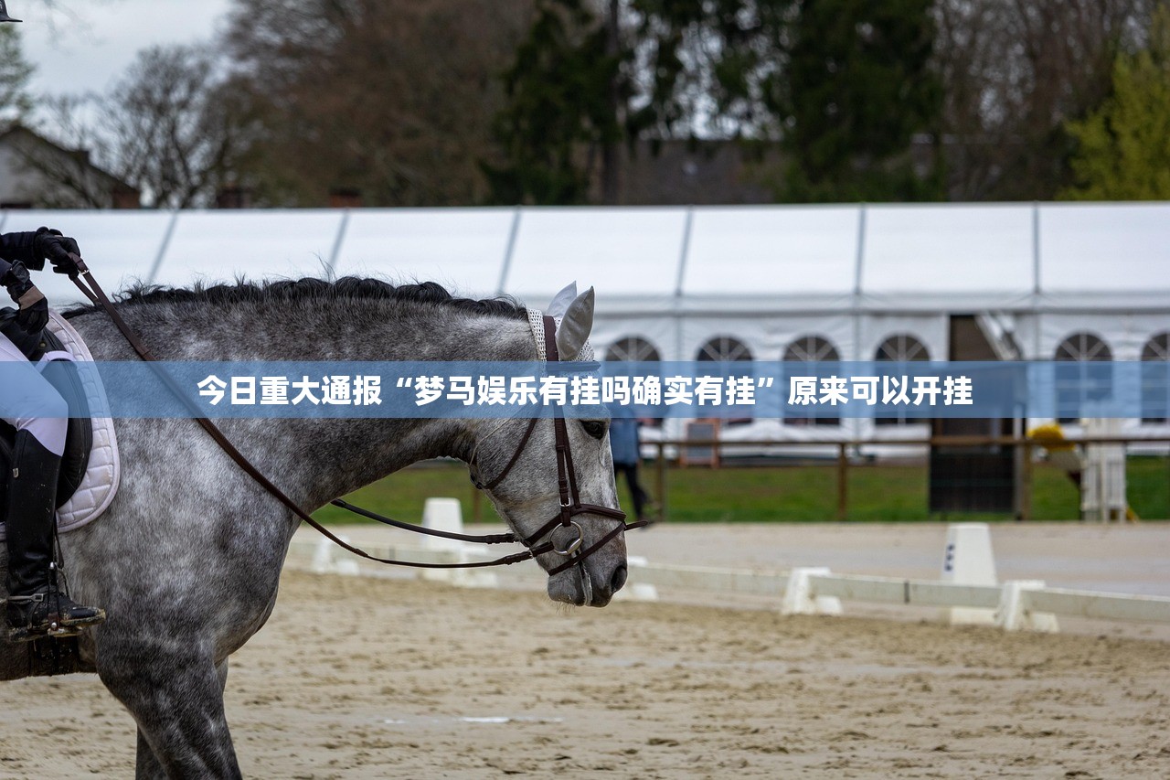 今日重大通报“梦马娱乐有挂吗确实有挂”原来可以开挂 今日重大通报“梦马娱乐有挂吗确实有挂”原来可以开挂