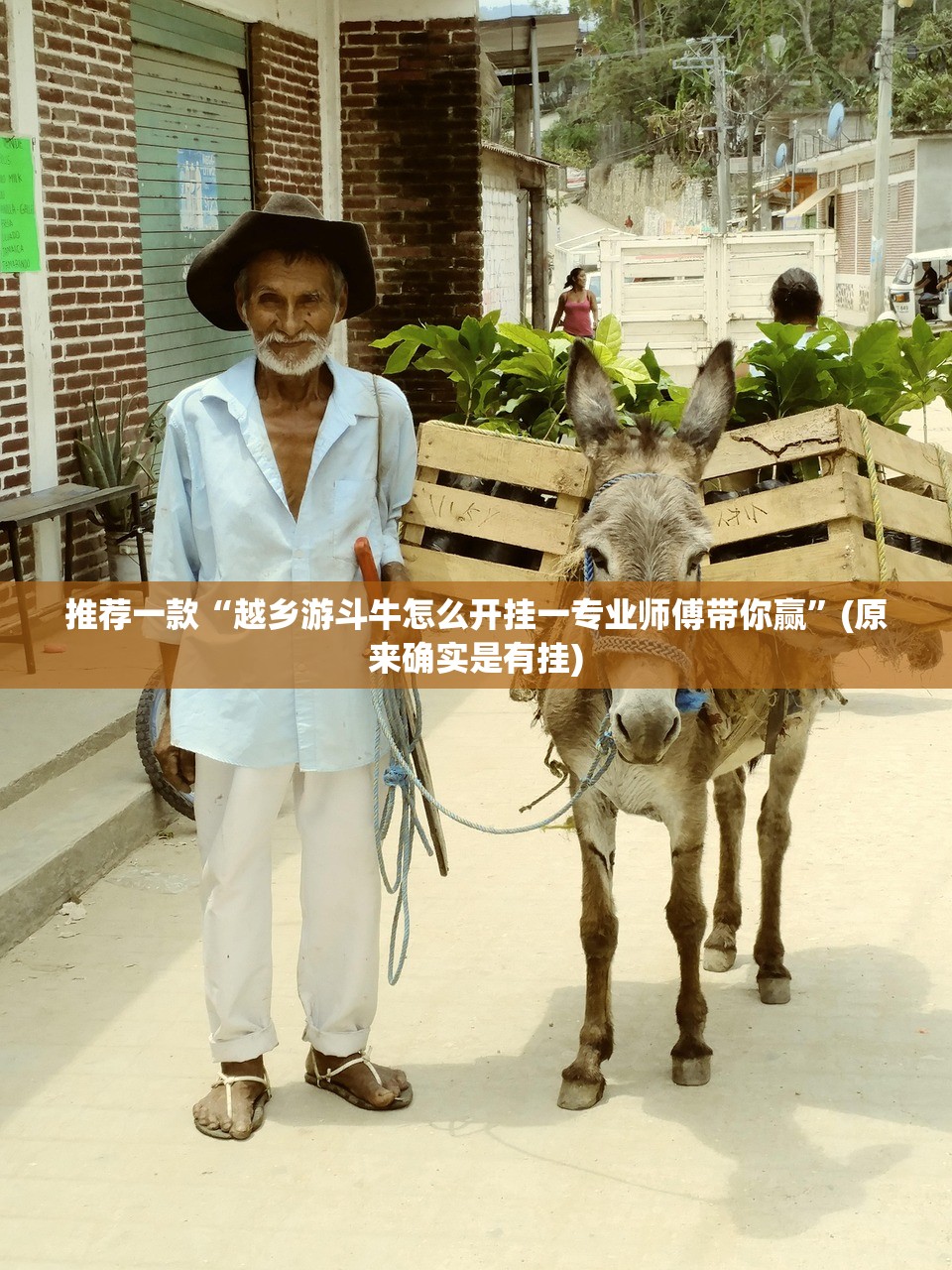 重磅.来袭青橙竞技果然有挂√其实是有挂 重磅.来袭青橙竞技果然有挂√其实是有挂