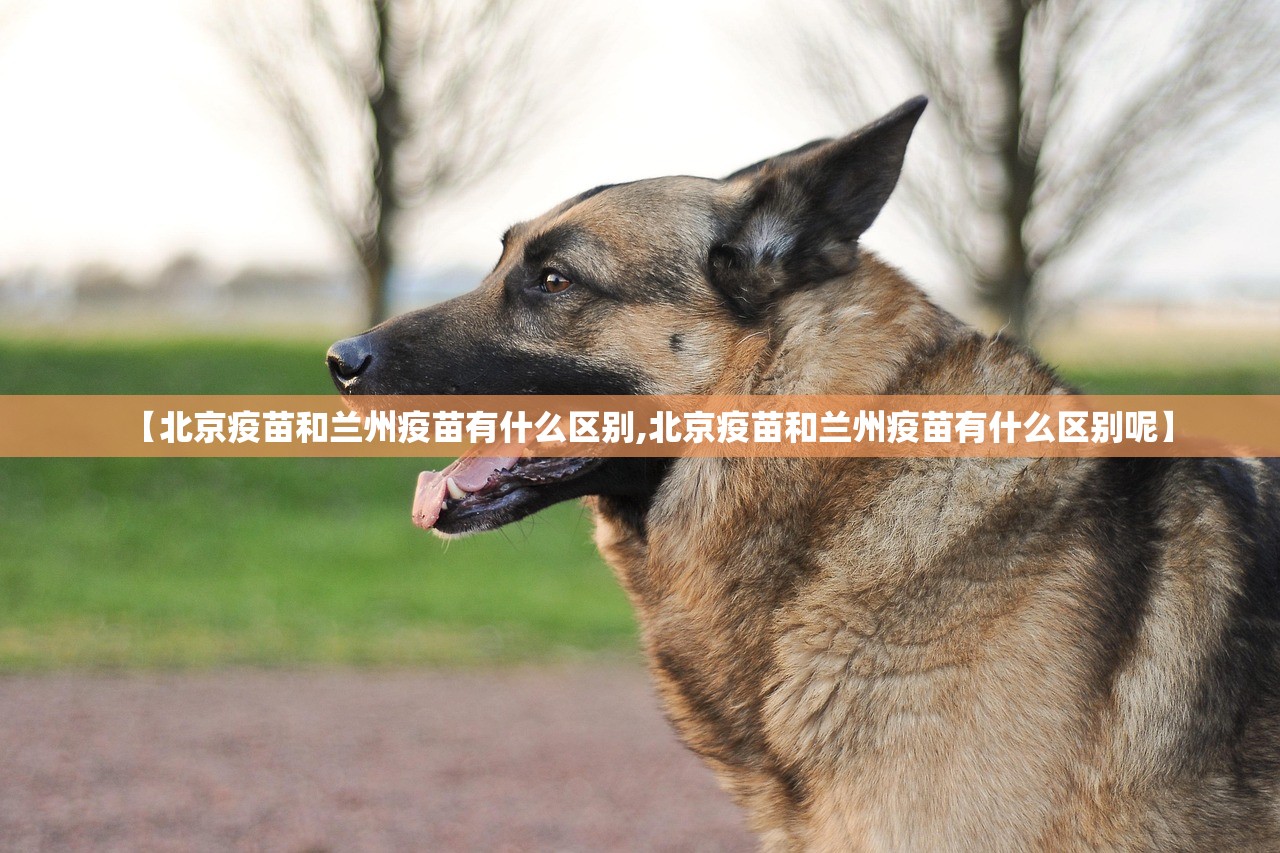 今日重大通报金牛开挂透视辅助软件果然有挂