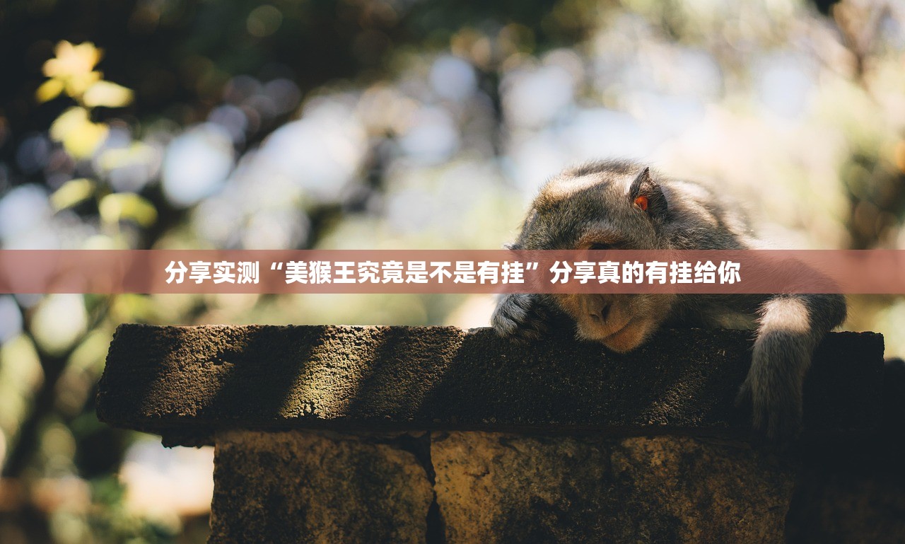 分享实测“美猴王究竟是不是有挂”分享真的有挂给你
