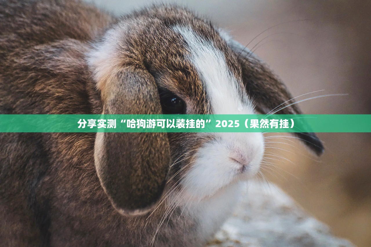 分享实测“哈狗游可以装挂的”2025(果然有挂) 分享实测“哈狗游可以装挂的”2025(果然有挂)