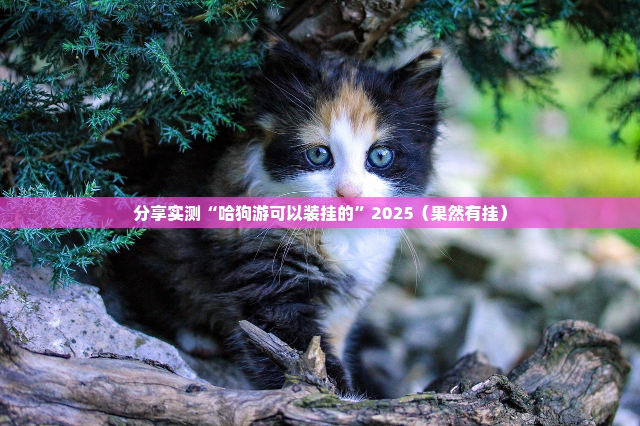 分享实测悠悠系列有挂没有其实是有挂其实确实有挂