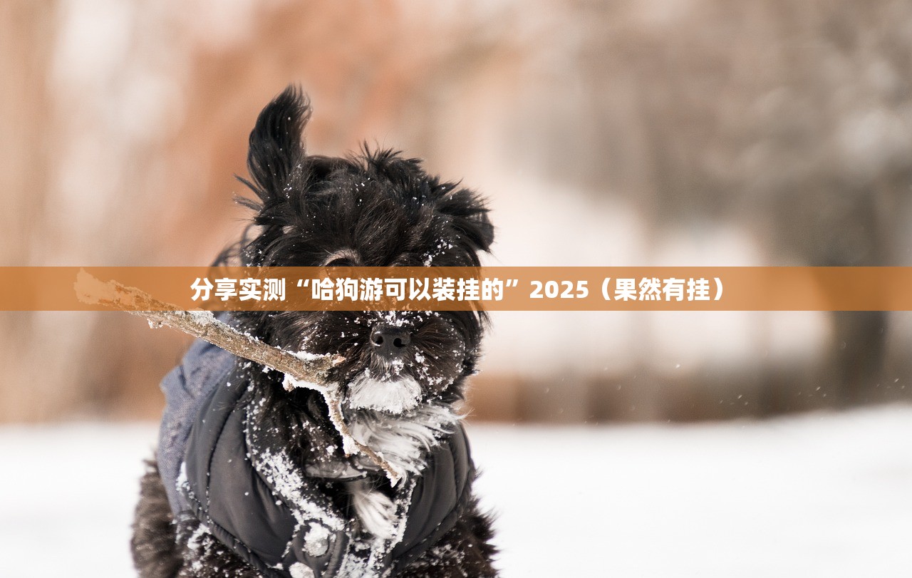 重大通报人人乐25外卦神器下载安装@太坑了真的有挂