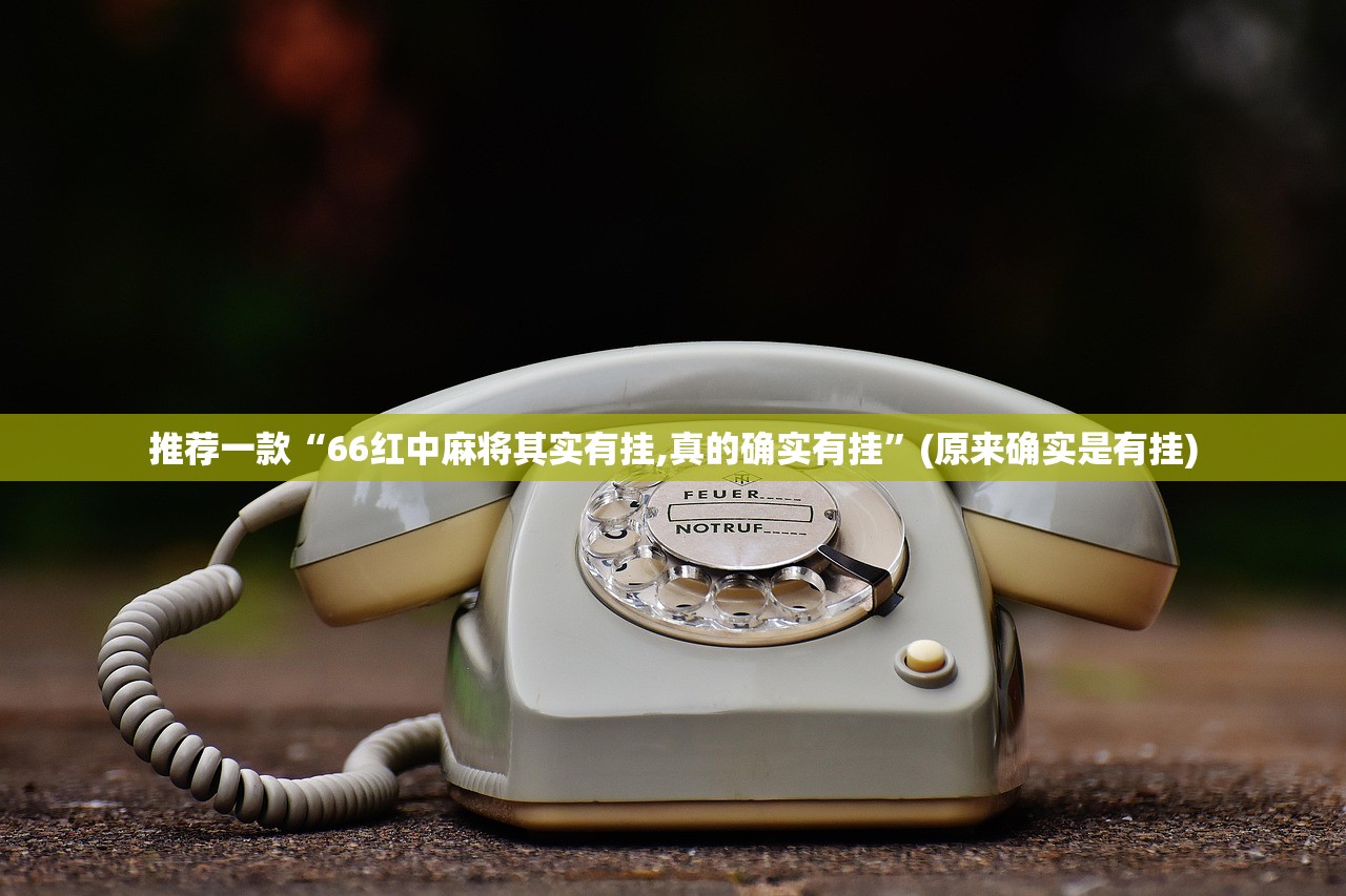 如何评价石家庄疫情发布会（如何评价石家庄疫情发布会视频）