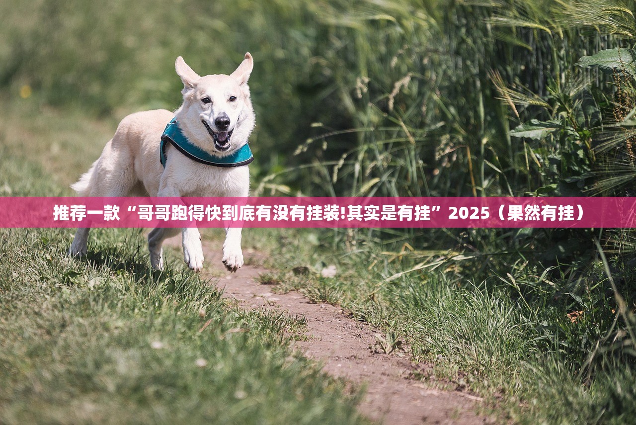 推荐一款拱趴大菠萝确实可以开挂吗√确实真的有挂