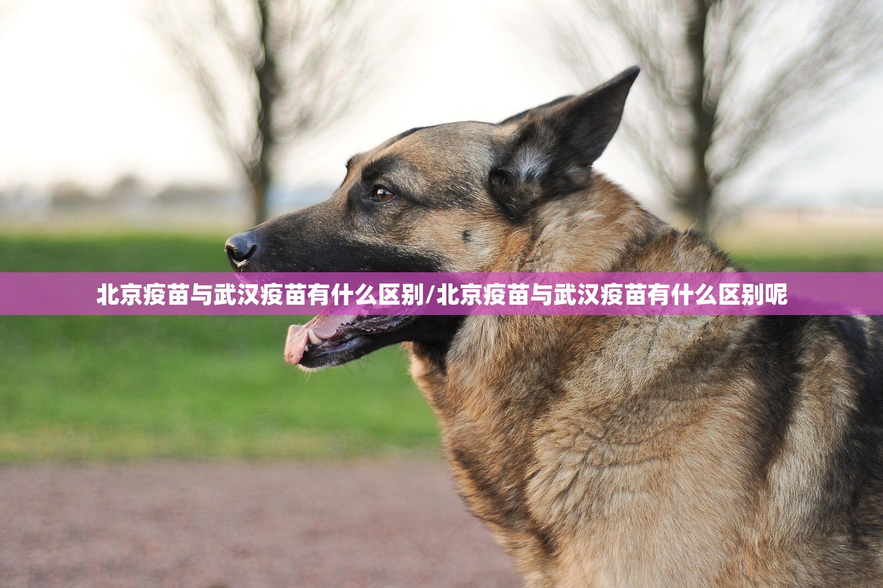 重大通报poker可不可以开挂其实有挂真的确实有挂 重大通报poker可不可以开挂其实有挂真的确实有挂