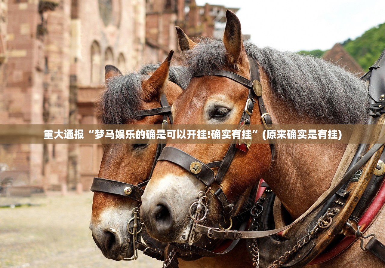 重磅.来袭朋朋棋牌必赢软件原来可以开挂