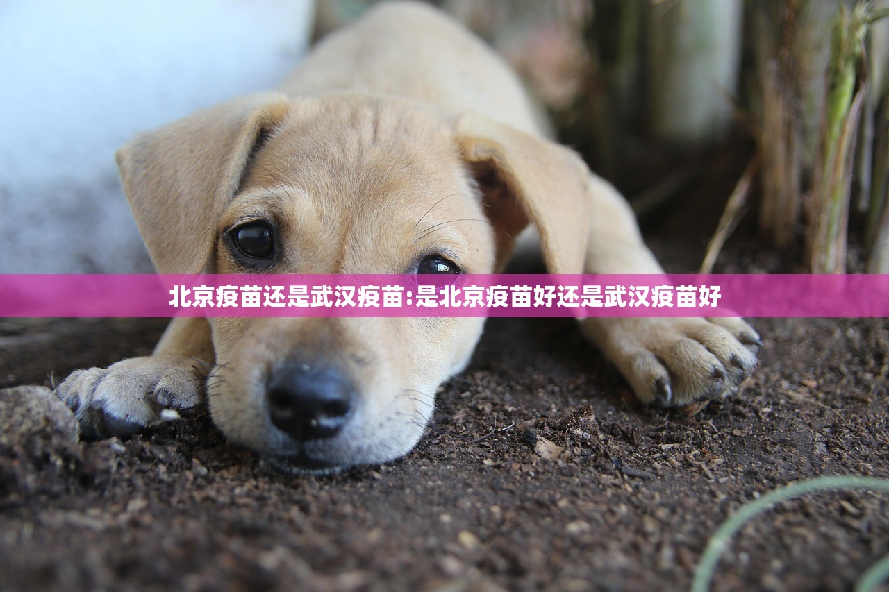 重磅.来袭贺州玩开挂!开挂神器