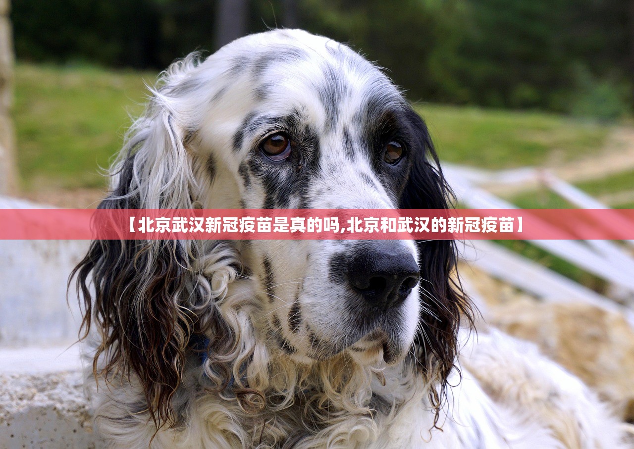 重大通报摸一把跑得快开挂方法详细开挂教程(真的有挂)-知乎