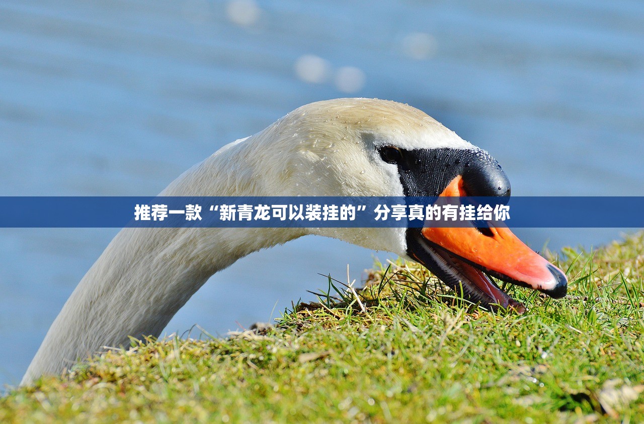 分享实测天虹互娱到底可以开挂吗原来真可以开挂