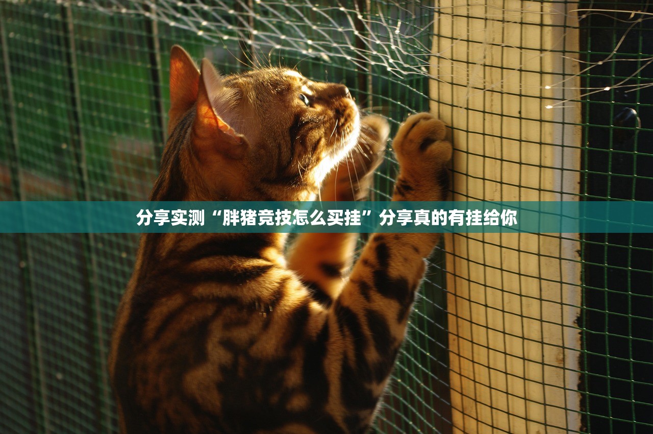 今日重大通报越乡游麻将其实有挂,真的确实有挂(原来确实是有挂) 今日重大通报越乡游麻将其实有挂,真的确实有挂(原来确实是有挂)