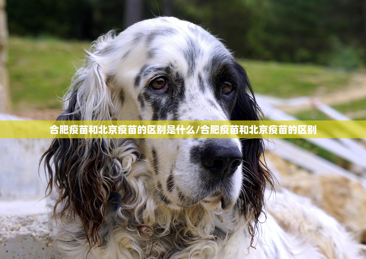 重磅.来袭人海开挂下载安装开挂神器