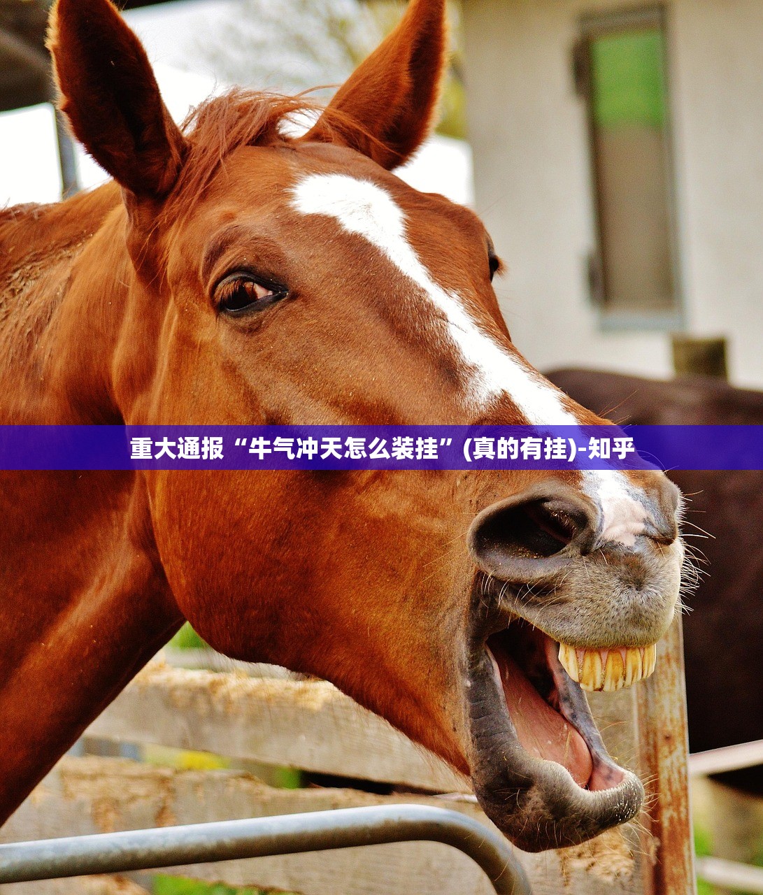 重大通报盛唐娱乐可以装挂的真的确实有挂