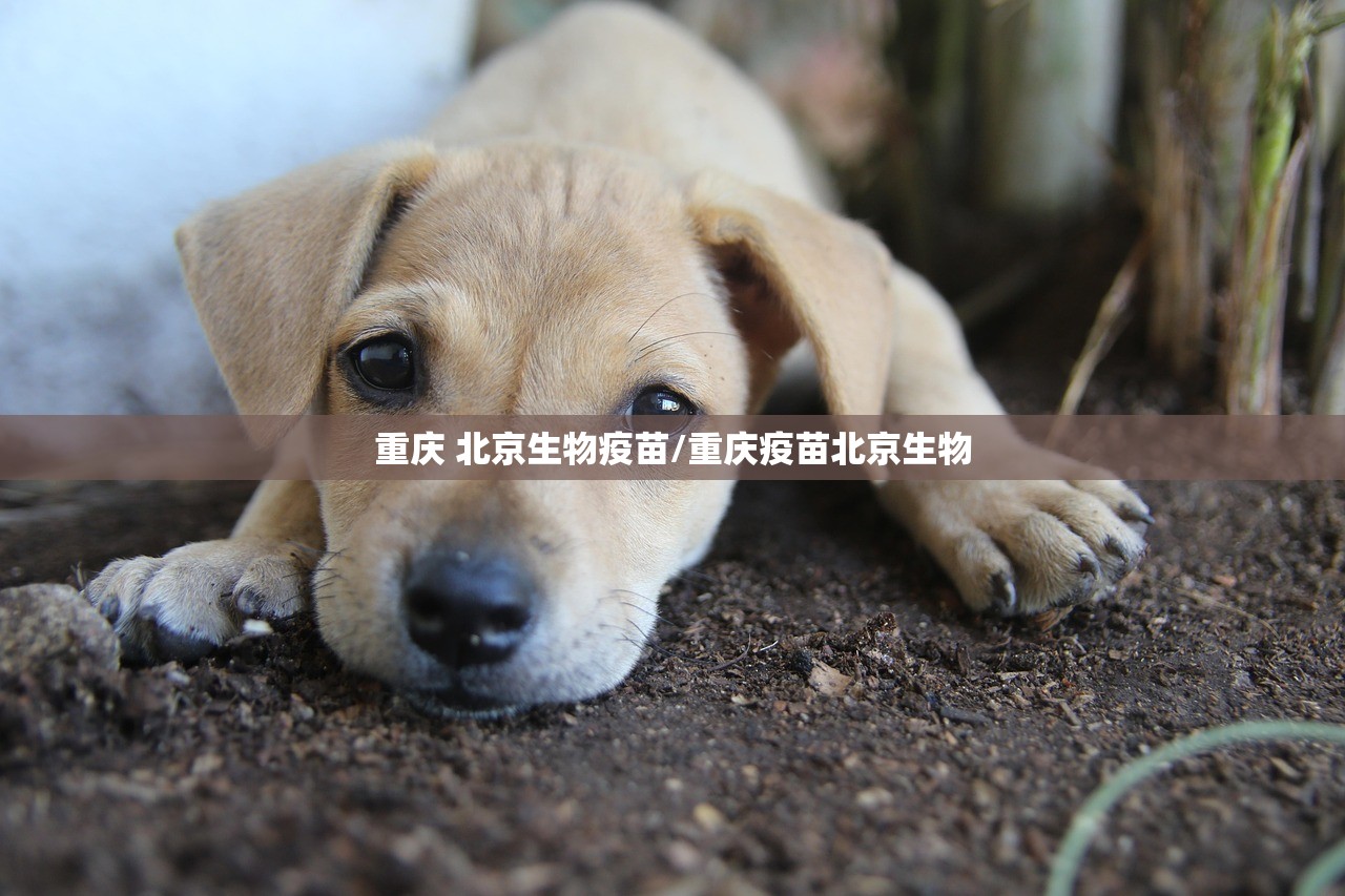 【浙江省疫情政策汇总最新/浙江省疫情政策汇总最新消息】