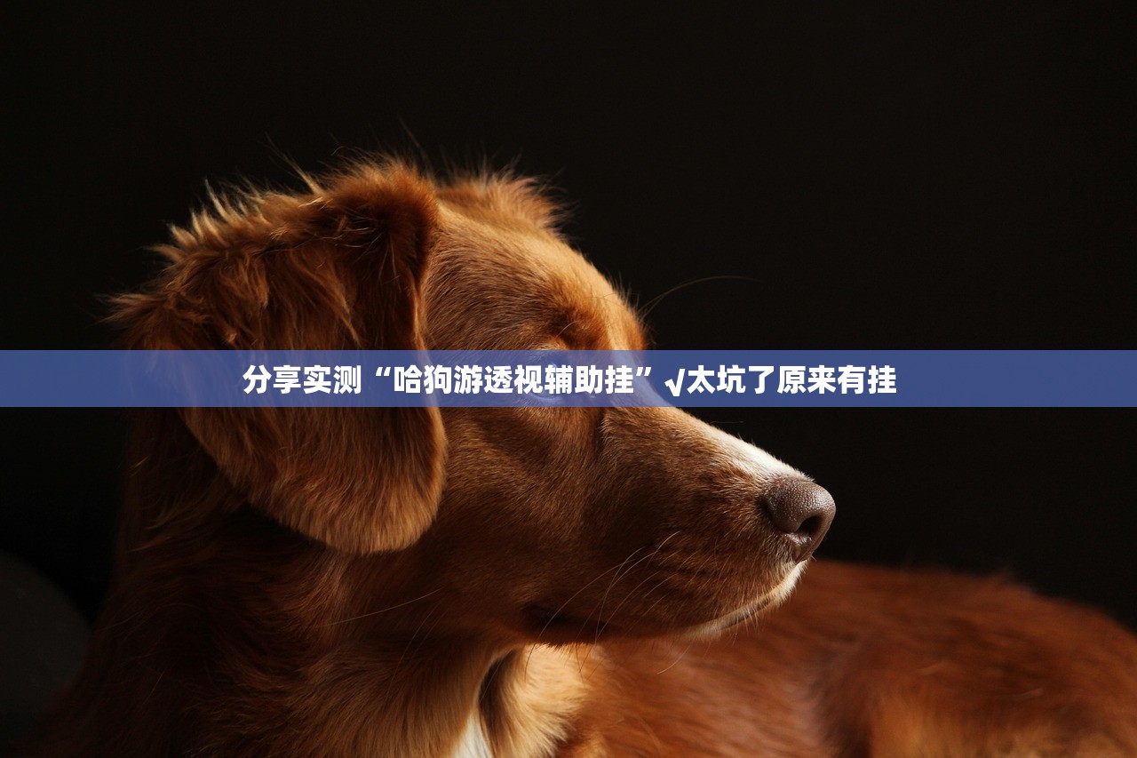 分享实测“哈狗游透视辅助挂”√太坑了原来有挂 分享实测“哈狗游透视辅助挂”√太坑了原来有挂