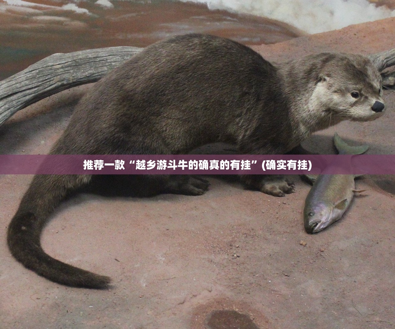 推荐一款众悦棋牌到底有没有挂吗√必胜开挂神器