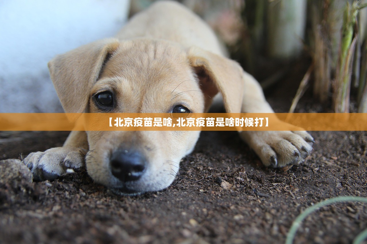 分享实测丰城双剑有挂吗确实有挂(原来确实是有挂) 分享实测丰城双剑有挂吗确实有挂(原来确实是有挂)