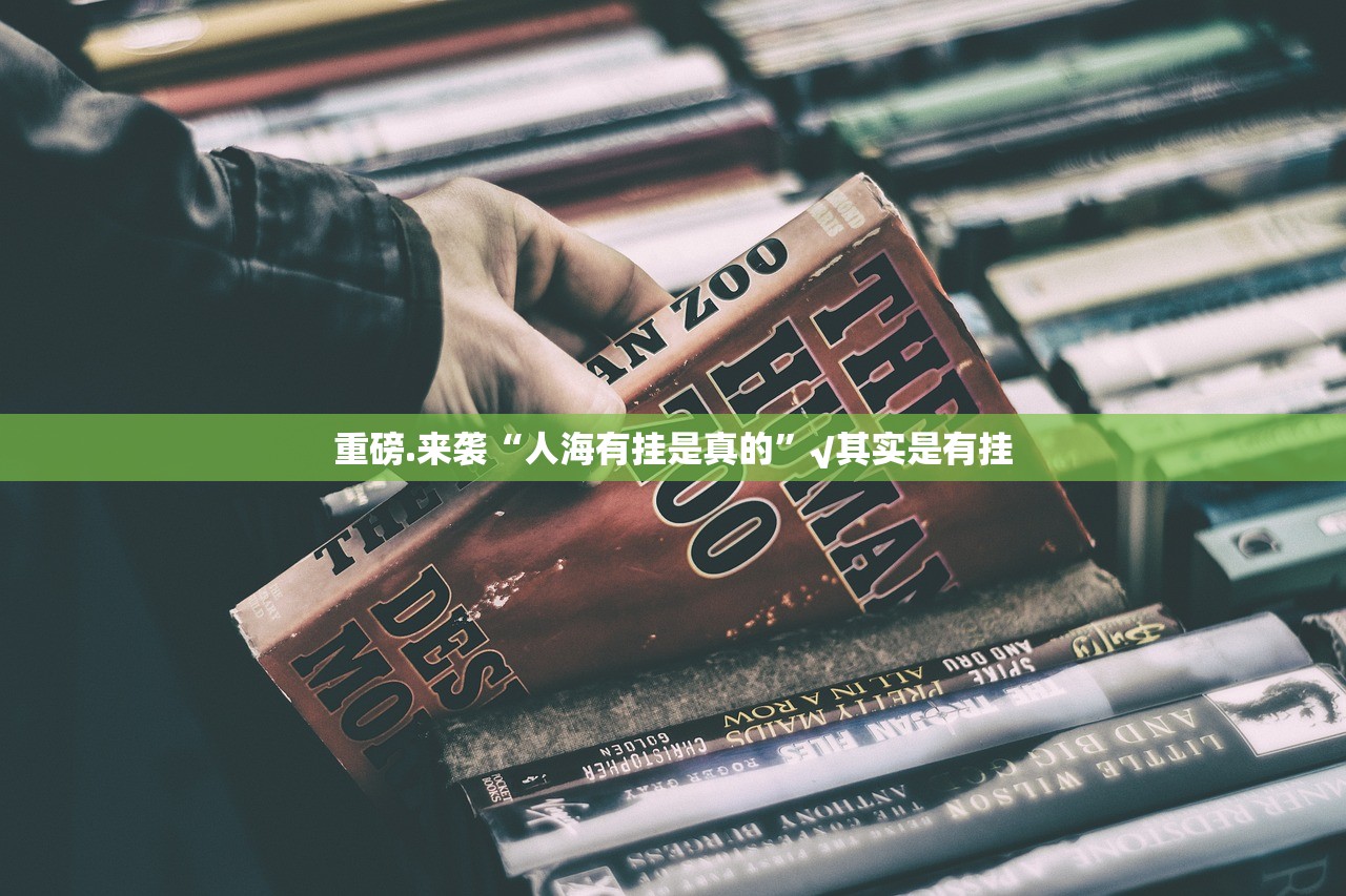 推荐一款兴动助手开挂透视辅助软件2025（果然有挂）