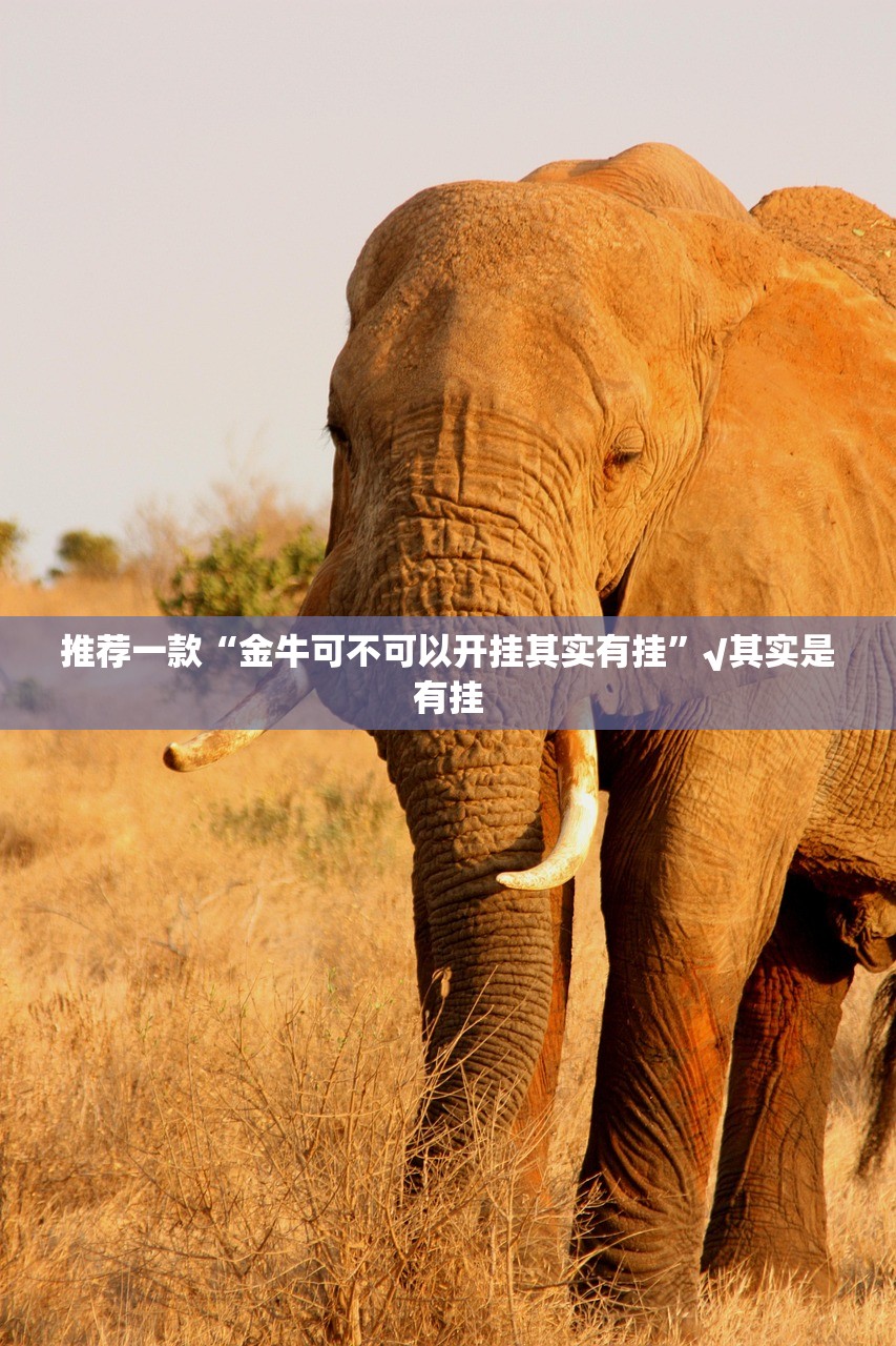 分享实测随意玩到底有没有挂吗原来真可以开挂