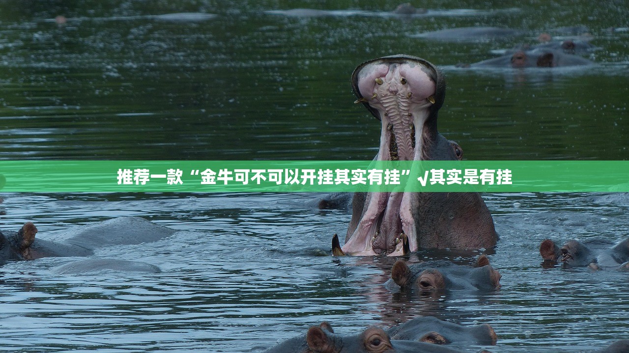 重磅.来袭拱趴大菠萝其实能开挂其实确实有挂