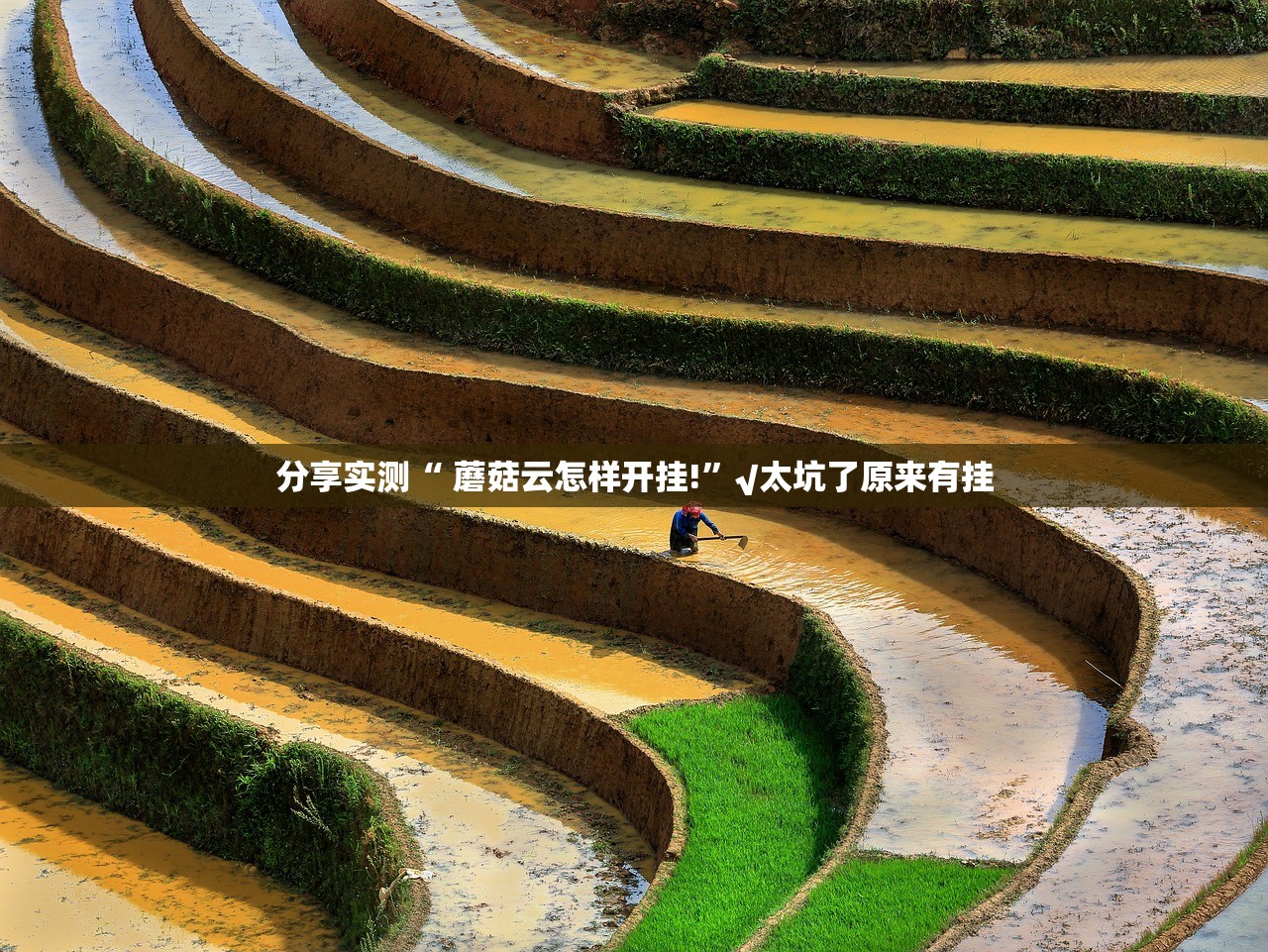 今日重大通报越乡游麻将到底是不是挂实测确实有挂