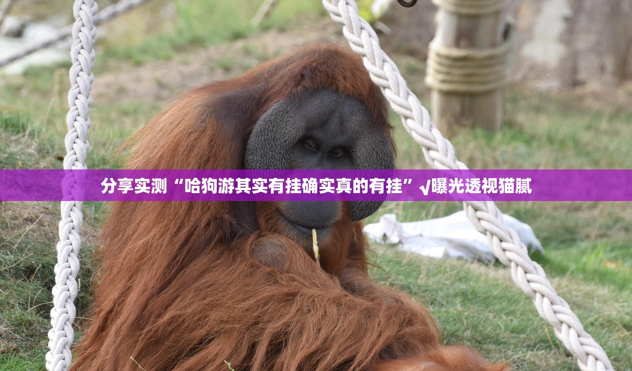 重大通报八喜休闲怎样开挂真的确实有挂 重大通报八喜休闲怎样开挂真的确实有挂