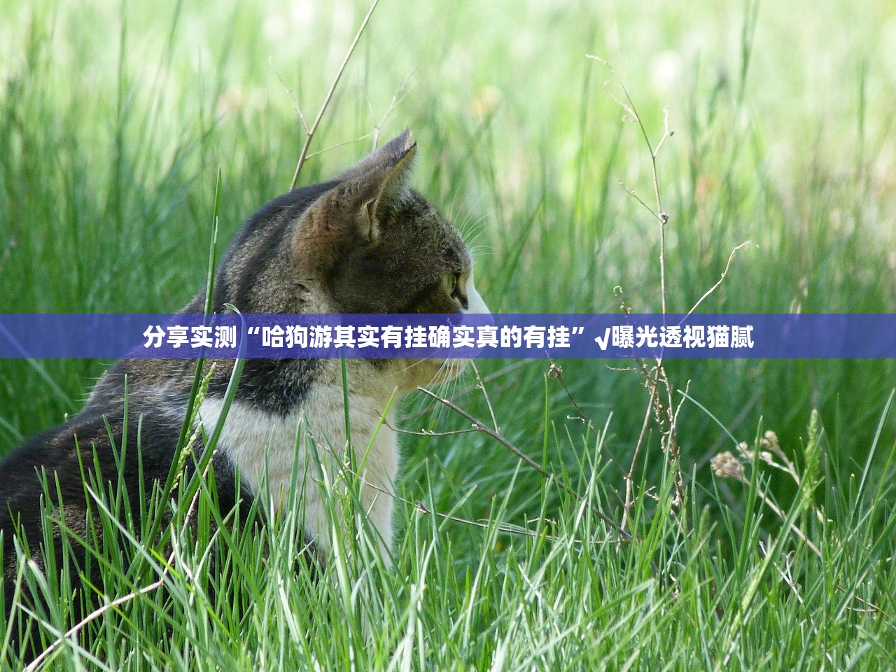 今日重大通报poker助赢神器@太坑了真的有挂