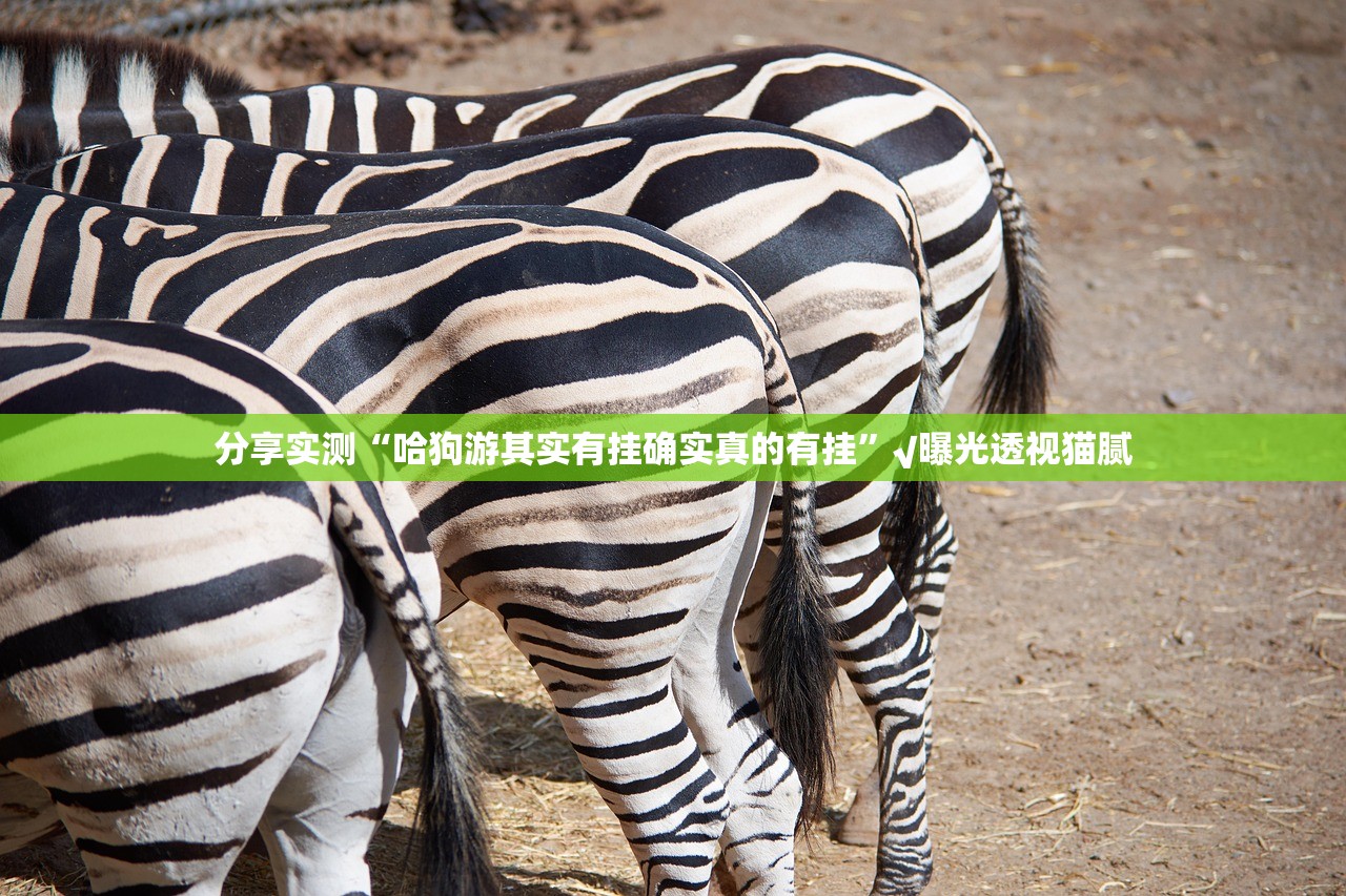 分享实测新八戒有挂没有真的确实有挂