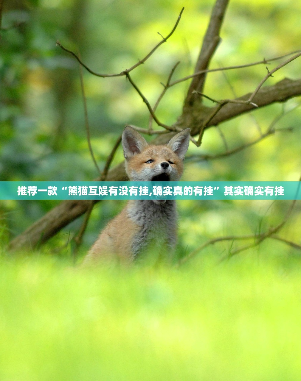 分享实测欢聚水鱼如何开挂√必胜开挂神器 分享实测欢聚水鱼如何开挂√必胜开挂神器