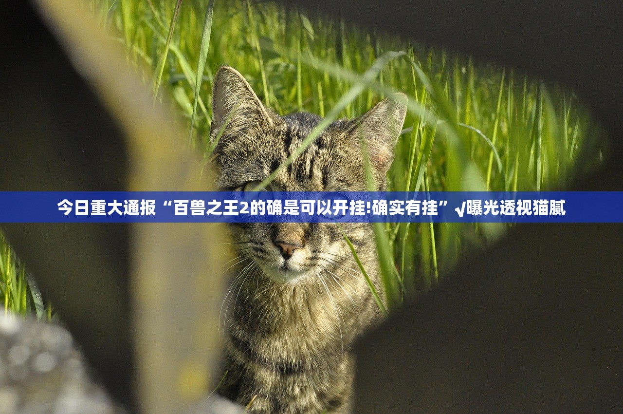 重磅.来袭秦皇岛互娱是不是有挂@太坑了真的有挂