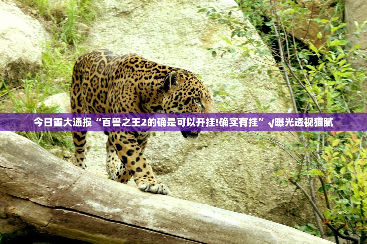 推荐一款欢乐茶坊必赢软件确实真的有挂