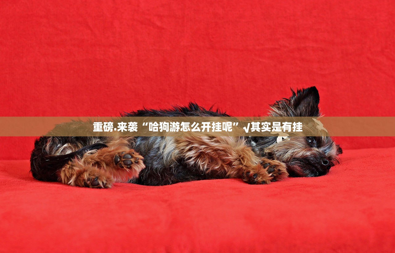 重磅.来袭“哈狗游怎么开挂呢”√其实是有挂