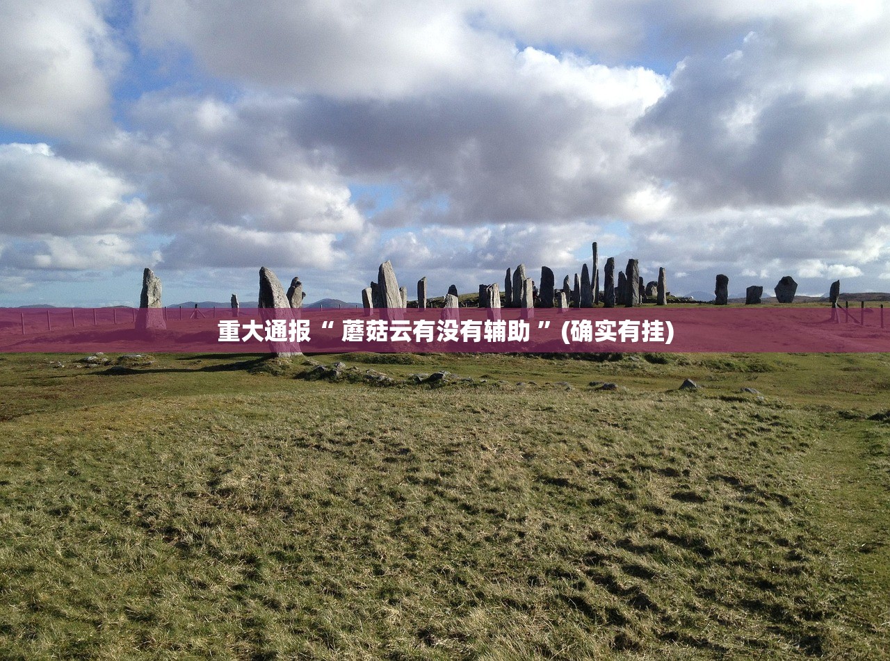 重大通报“258朋友桌透视辅助挂”开挂神器 重大通报“258朋友桌透视辅助挂”开挂神器