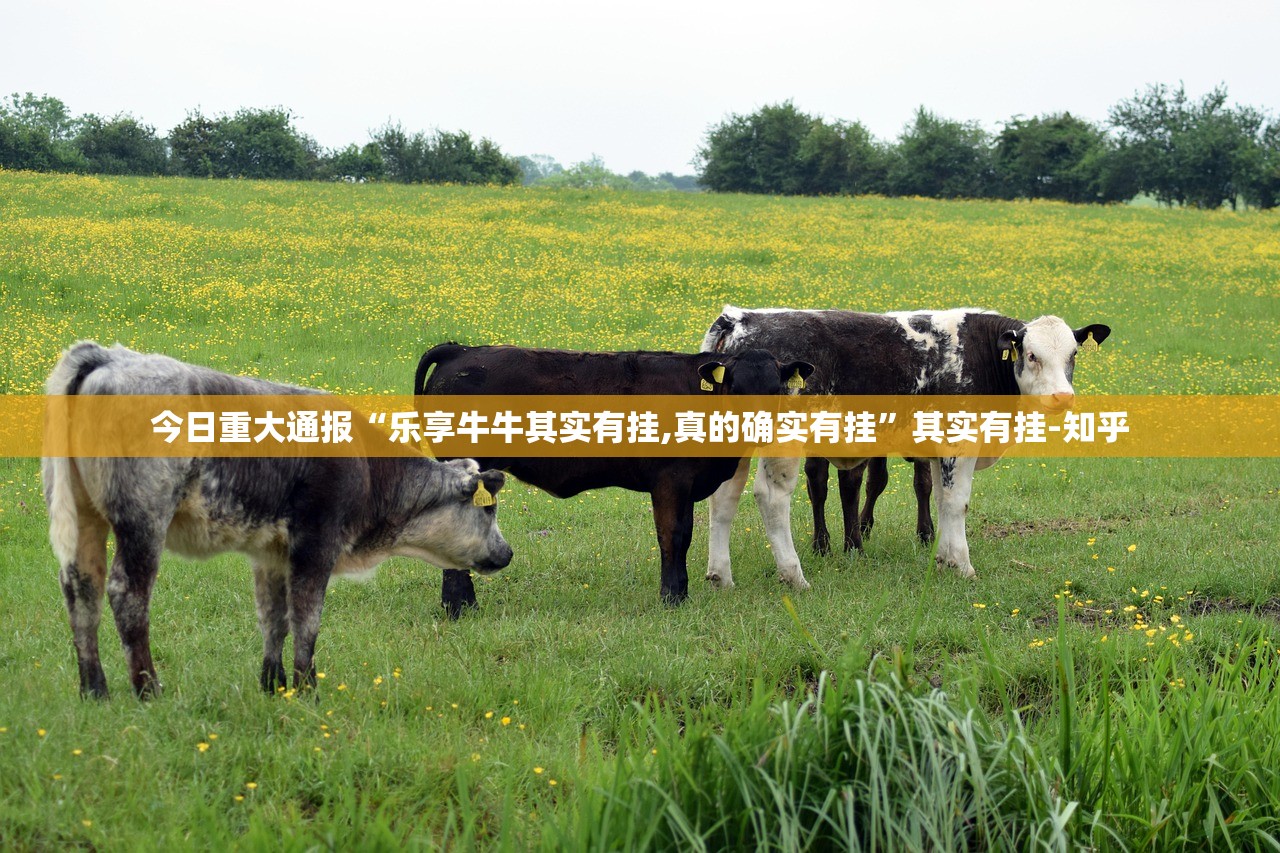 分享实测微乐四川麻将开挂软件(确实有挂)