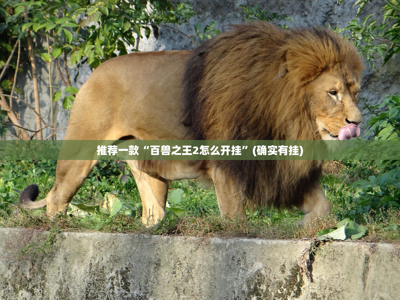 香港政府上海办事处/香港政府上海办事处主任 香港政府上海办事处/香港政府上海办事处主任