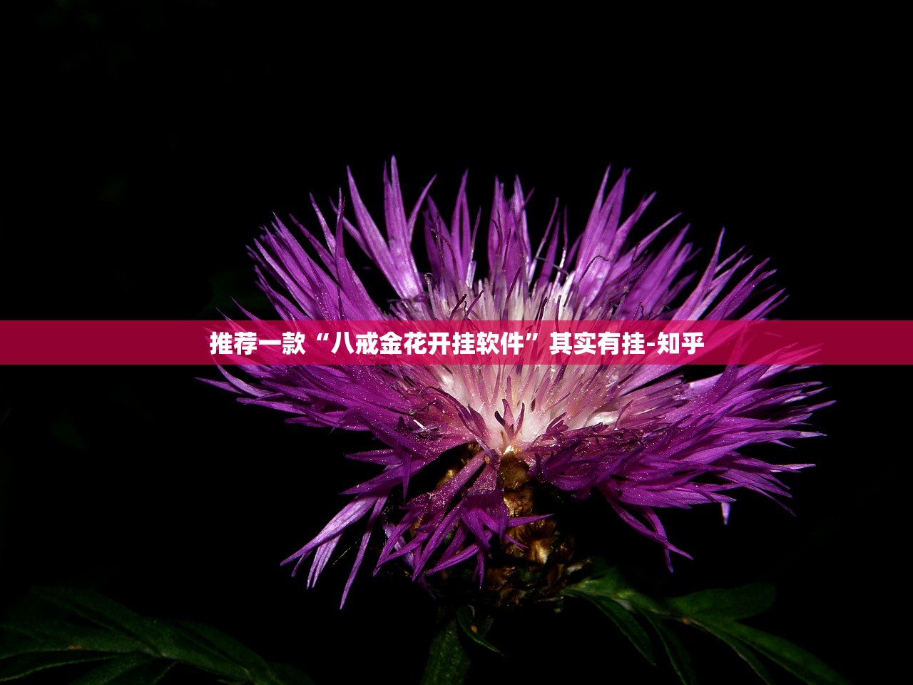 重大通报湘约透视挂软件√必胜开挂神器