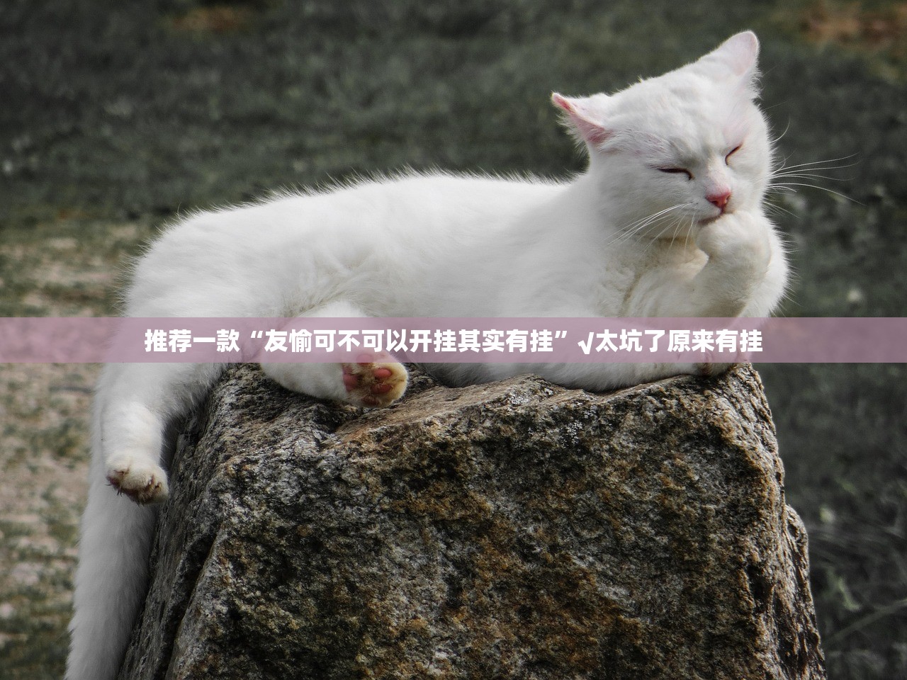 今日重大通报小牛快跑透视辅助挂√确实真的有挂