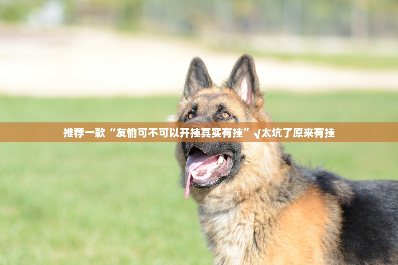 分享实测鑫耀互娱有没有挂确实果然有挂分享真的有挂给你